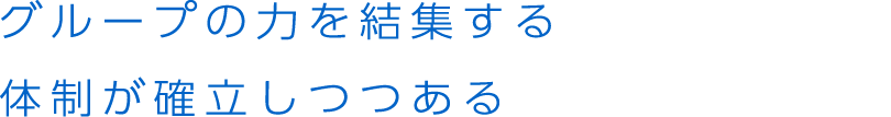 グループの力を結集する体制が確立しつつある
