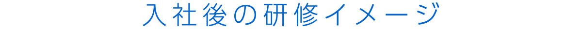 入社後の研修イメージ